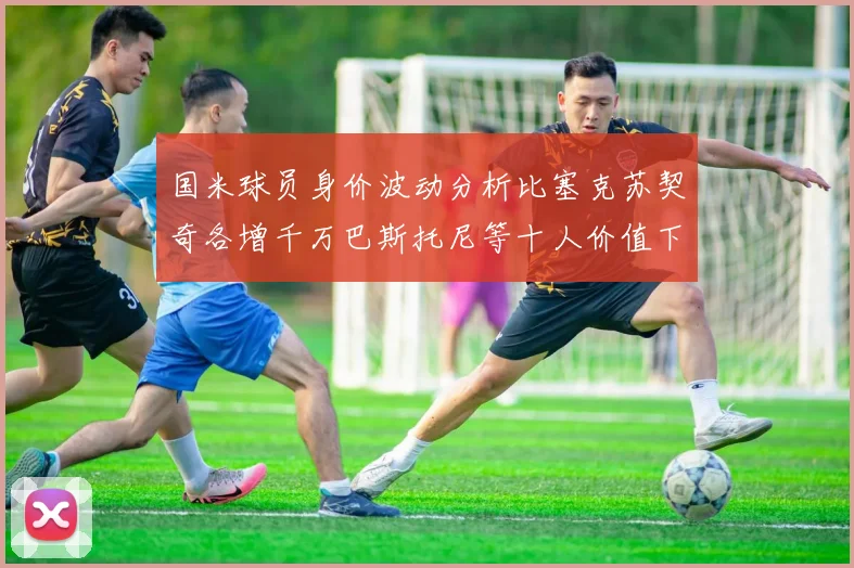 国米球员身价波动分析比塞克苏契奇各增千万巴斯托尼等十人价值下滑